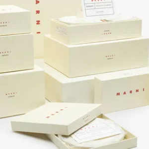 Plate L Anemone Milk Midnight Flowers – Image 2